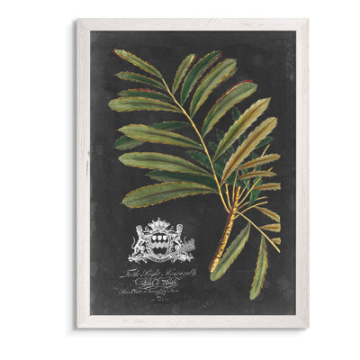 « royal feuillage ii » par paul cezanne-photo, reproduction d’art encadrée