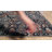 Averill Oriental Indoor Rug-473079883