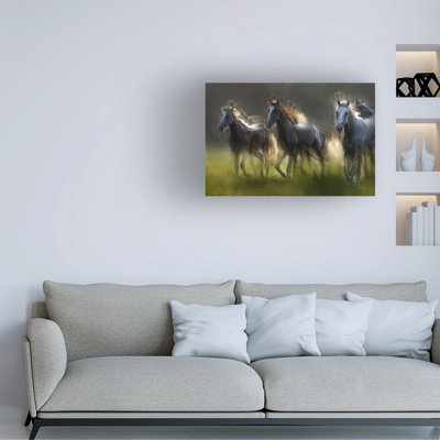 Art sur toile Milan Malovrh Aura