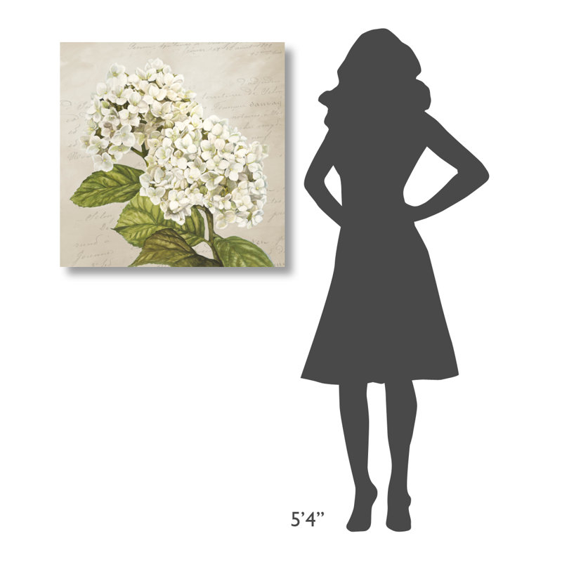 " Hydrangeas III (Neutre) " Oil Print, 24" H x 24" W x 1.5" D