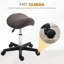 Chasie Adjustable Height Lab Stool-501474635