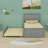 Platform Bed With Trundle-294442680