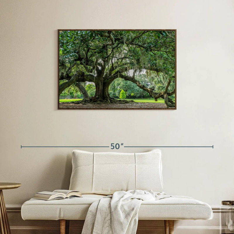 Audubon Park Oak Tree, 37" X 25", Floating Frame Walnut