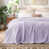 Pastel Lilac