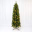 Fir Christmas Tree-1666979781