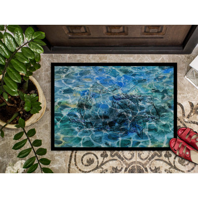 Indoor / Outdoor Rug