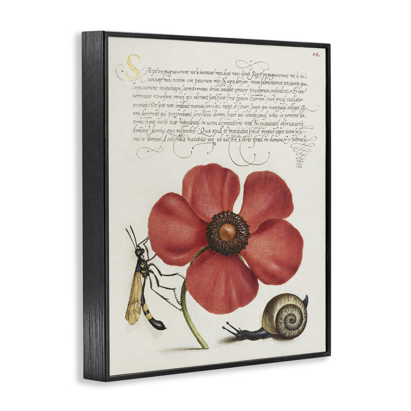 Art rétro, insectes sur fleurs, estampe numérique par Joris Hoefnagel, Giclée encadrée noir minuit, H 30 po x l 24 po