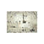 White Wall Tread Print by Kari Taylor-26679795-26679796