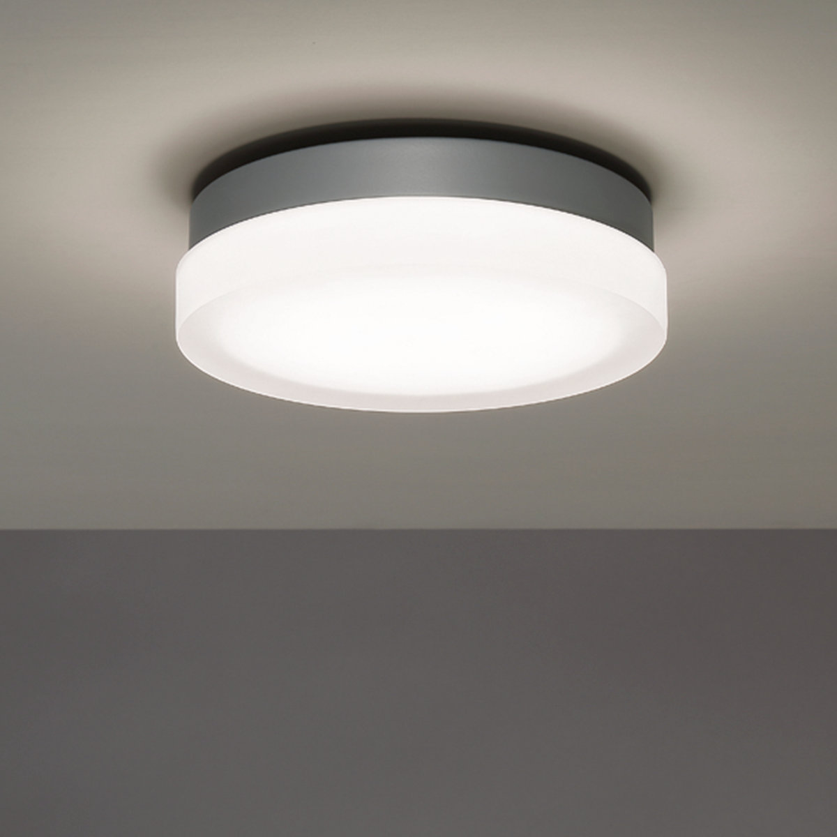 Single Light Glass LED Flush Mount, Titanium, 2700K, 2.5" Hx 14" W x 14" D