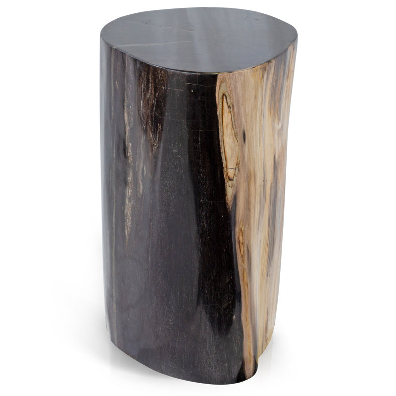Fossil Relics End Table