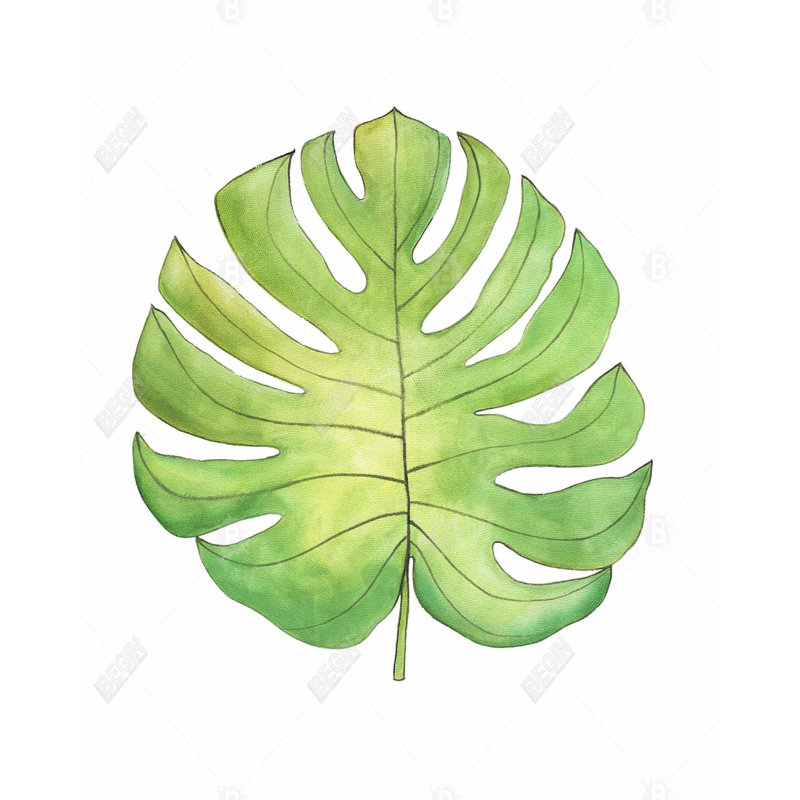 Tropical Leaf Print On Canvas