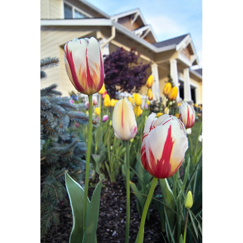 Jardin de fleurs par Jhorrocks, H 48 po x l 32 po