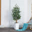 Adcock UV Protected Artificial Ficus Tree with Decorative Base, Faux Ficus Plant with Natural Trunk-1722551527-1722551521