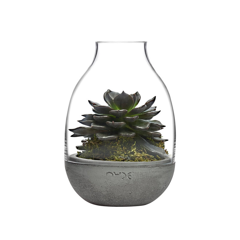 Eden Handmade Glass Planter, 7.75" H x 5" W x 5" D