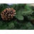 106'' in. Faux Pine Garland