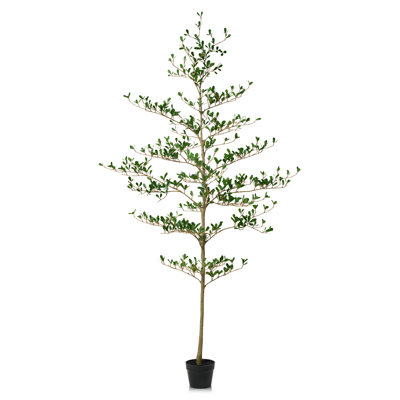Adcock 84" Olive Tree in Pot