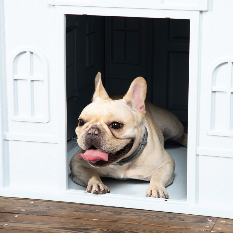 Cabane canine en plastique - bleu, pour petits et moyens chiens, imperméable, facile à rendre imperméable, facile à assembler