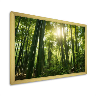 " Dynamic Light Bamboo Grove II "