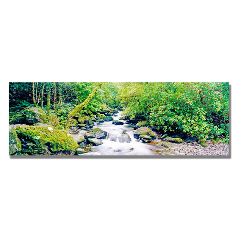 " Ireland Green " by Preston, 8" H x 24" W x 2" D