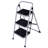 Convallaria 3 - Step Iron Lightweight Folding Step Stool