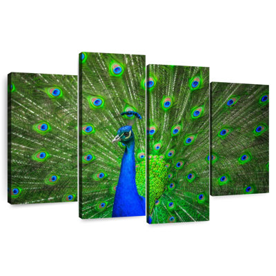 Dazzling Blue Peacock