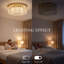 Flush Mount