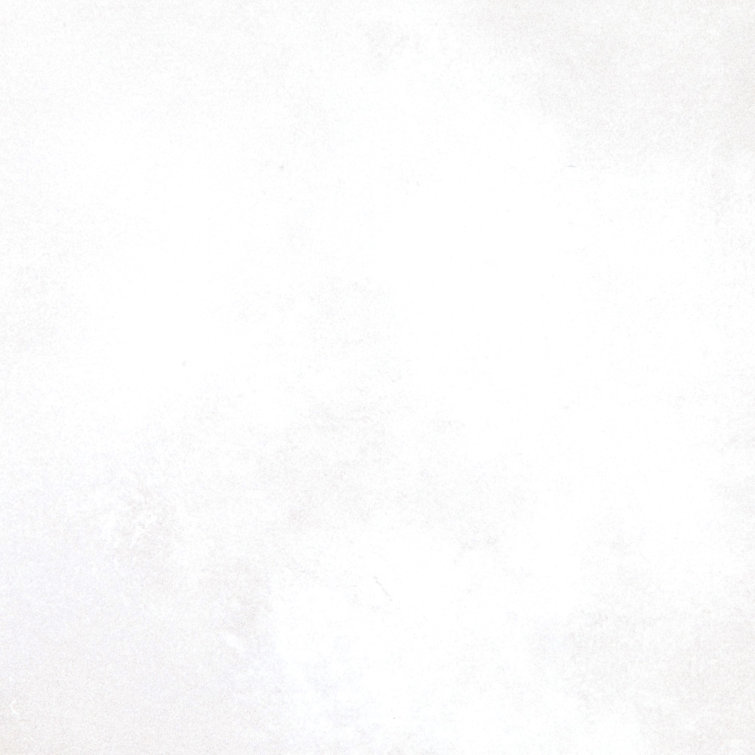 Literary License 12'' W x 12'' L Porcelain Concrete Look Singular Tile