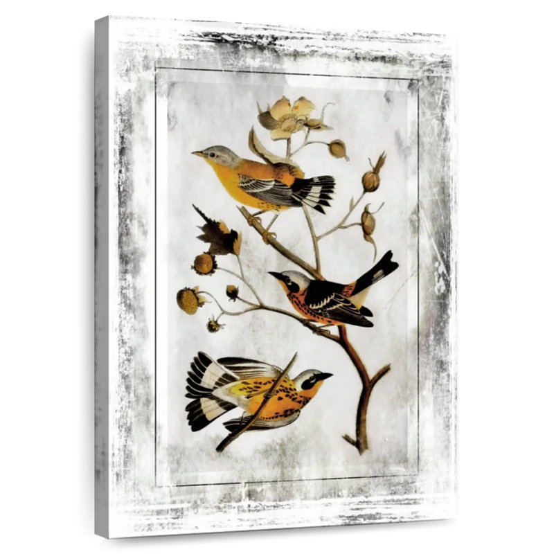 Birds With Class III