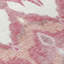 Tapis Alleson-760854596