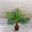 60cm Faux Palm Plant in Freestanding