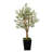 Faux Olive Tree Tree in Metal Planter-221272463