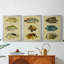 Trio de poissons tropicaux I - Toile tendue avec châssis sur mesure - 3 pièces-798829240-798829241