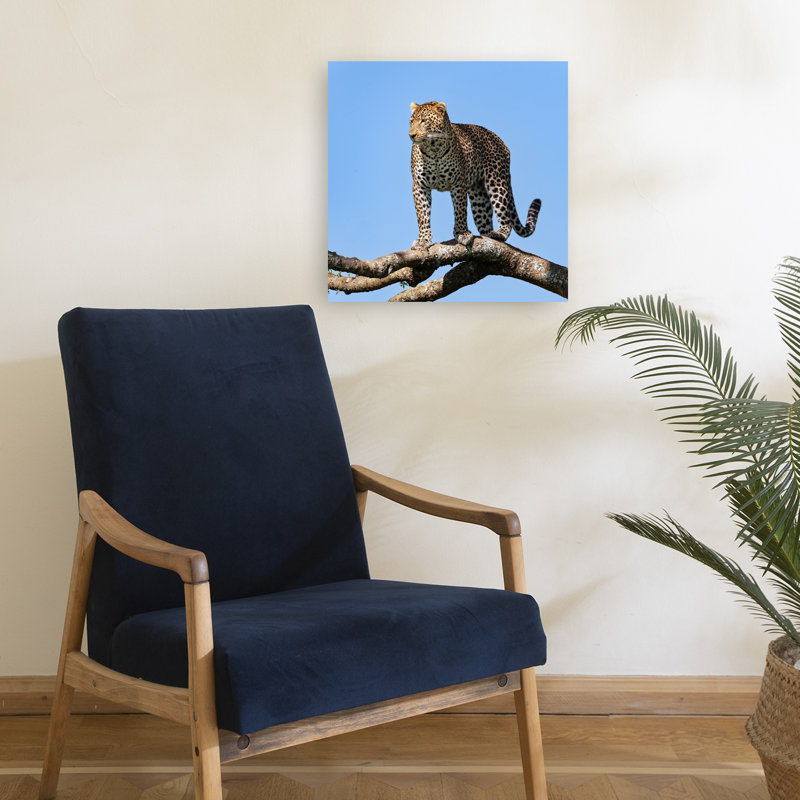 Print, 45.72cm H x 45.72cm W