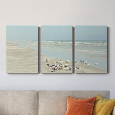 Padre Island Shore Birds - Toile tendue avec châssis de qualité supérieure - Prêt à être accroché