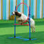 Ensemble de formation pour chien 5 pièces avec tunnel haies