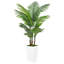 60 plantes-826690847