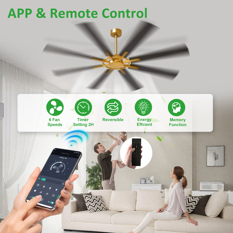 72 Inch Large Ceiling Fan, Modern 8-Blade Brass body and Black/Wood  Indoor Outdoor Fans with Remote App Control, Quiet DC Motor Reversible 6 Speed Timer(Excluding bulb)