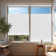 Top Down Buttom Up Cordless Light Filtering Cellular Shades