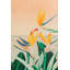 Floral Wallpaper by Melissa Cabrera-1778559740