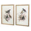 2 impressions encadrées, 19,5 po x 27,5 po, couleurs vives, bois brun, deux images 19,5 po x 27,5 po, plumage coloré