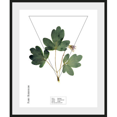 Plant - Single Picture Frame Print