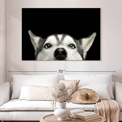 Peeking Siberian Husky