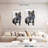 Brampt French Bulldog King-108668776