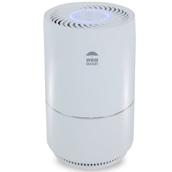 Purificador de aire inteligente WBM, filtración de 3 etapas con filtro HEPA para 1440 pies cúbicos