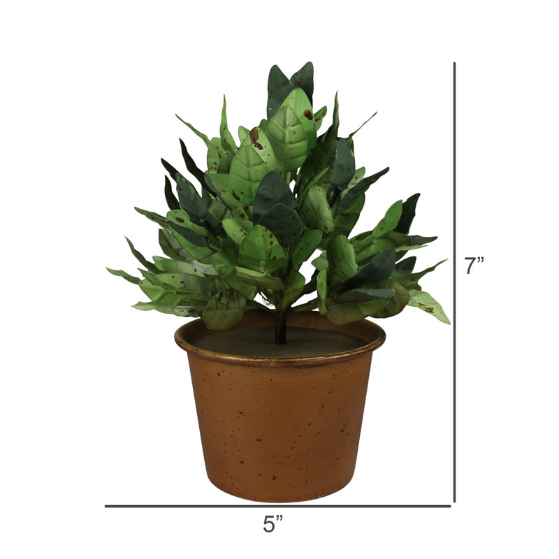 Pots verts, aluminium