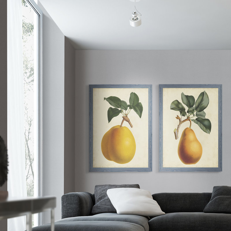 Antique Pear Botanical I par Vincent Van Gogh - ensemble de 2 reproductions d'art encadrées, H 20 po x l 16 po x P 1,25 po