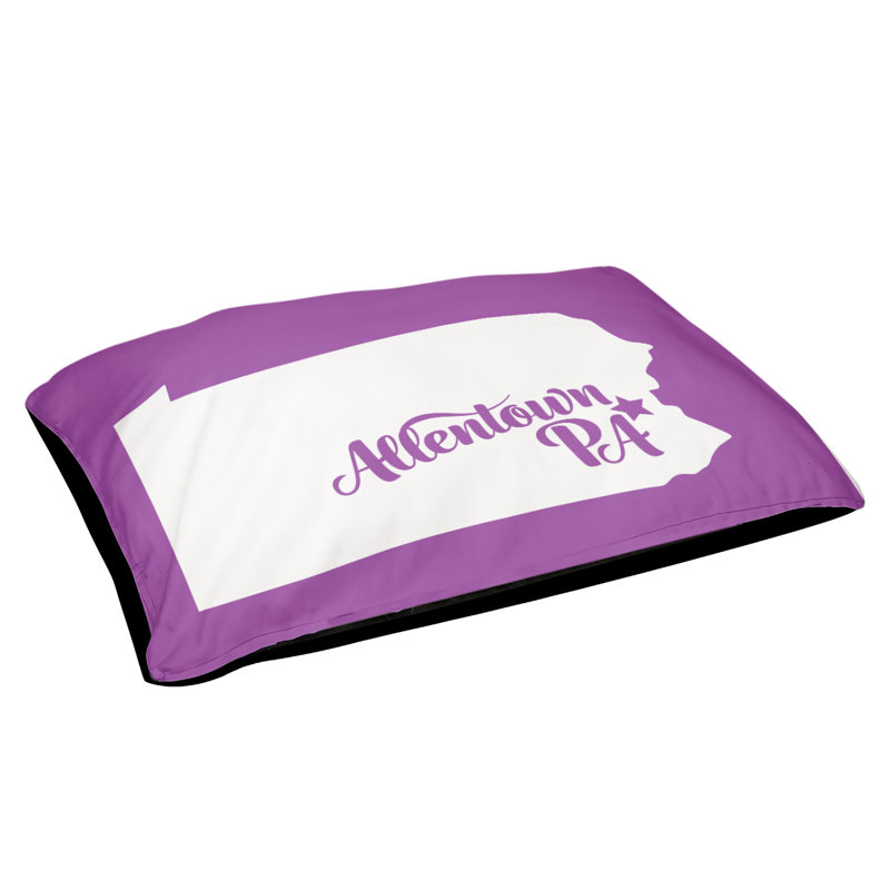 Coussin stylisé allentown de pennsylvanie, Grand (L 40 po x l 50 po), Violet