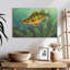 Poisson perchoir Brampt-108135024