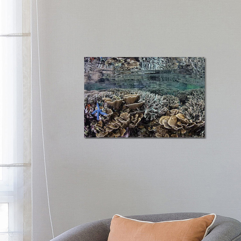 Fragile Corals Grow In Shallow Water In Komodo National Park I by Ethan Daniels - Wrapped Canvas Print