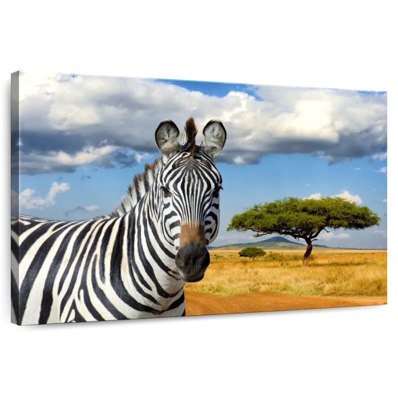 Zèbre safari africain Brampt, H 30 po x l 45 po